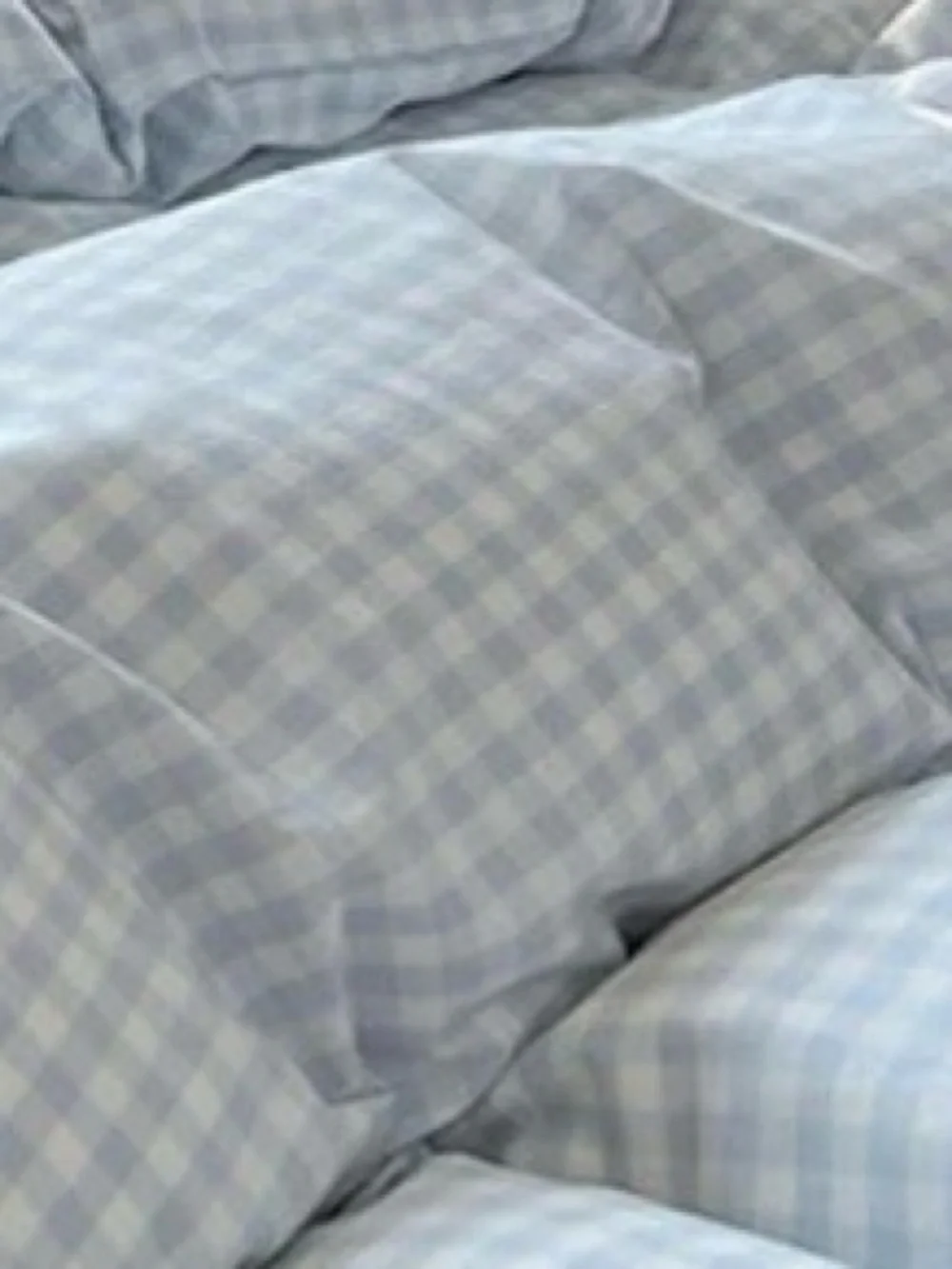 FULL SIZE Ultra-Soft GINGHAM Duvet Set 100% Washed Microfiber - BLUE & WHITE